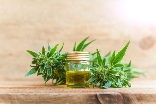 CBD, A Cannabis Extract, May Help Patients Relieve Stress And Anxiety.