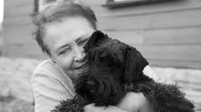 Therapy Dogs In Hospice Care