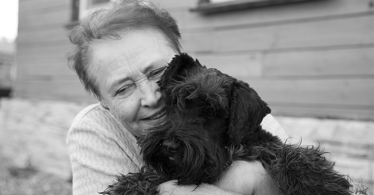 Comfort Dogs Shown To Reduce Pain