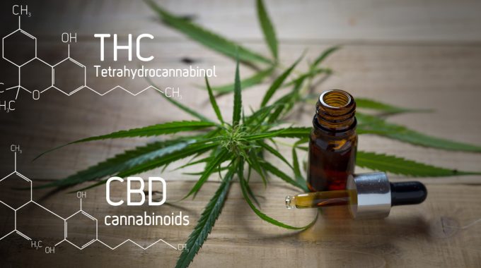 Medical Marijuana In Hospice