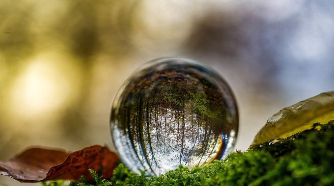 Exploring The Concept Of Environmentally Friendly Burials